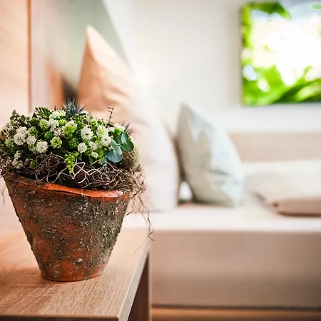 فندق In Via بادربورن